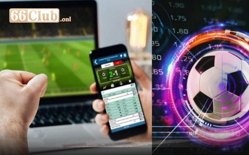 Các loại hình cược phổ biến